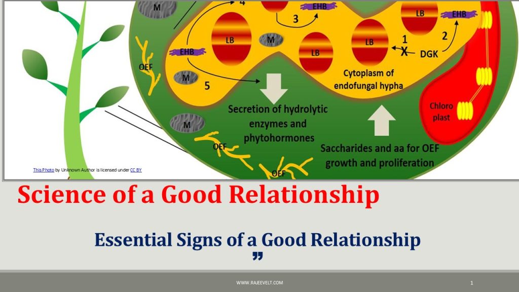 Science-of-a-Good-Relationship-Rajeevelt